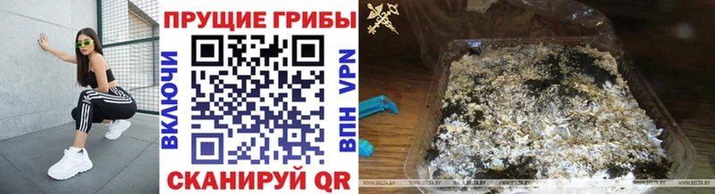 Псилоцибиновые грибы ЛСД  Купить закладки  Ефремов 